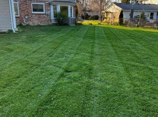John P.'s lawn care services service result