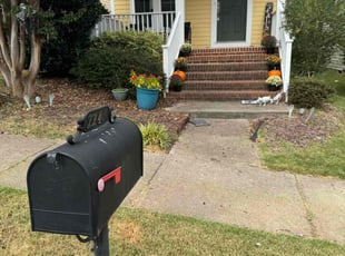 Nancy L.'s lawn care service result