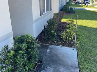Lawrence R.'s Bush Trimming service result
