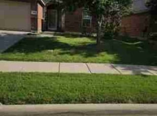 Trish A.'s grass cutting service result
