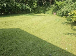 Matthew G.'s lawn care services service result