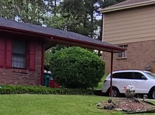 Earl C.'s Bush Trimming service result