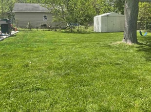 Gregory M.'s lawn service service result