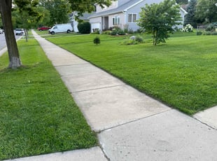 Michael W.'s grass maintenance service result