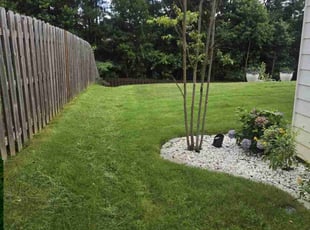 Melissa M.'s turf care service result