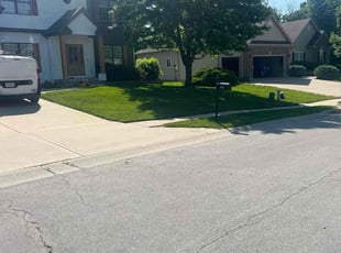 Melisa P.'s lawn service service result