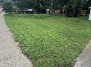 Max H.'s lawn service service result