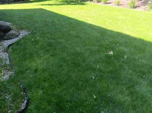David C.'s grass maintenance service result