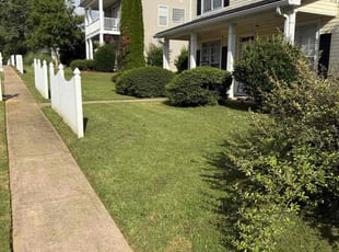 Kimberly B.'s lawn care services service result