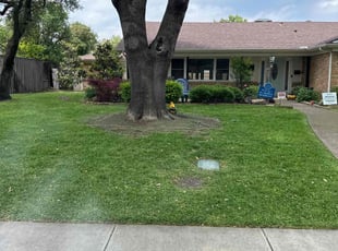 Vakersha R.'s residential landscaping service result