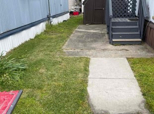 Paula G.'s grass cutting service result