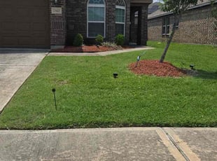 Carleen C.'s lawn service service result