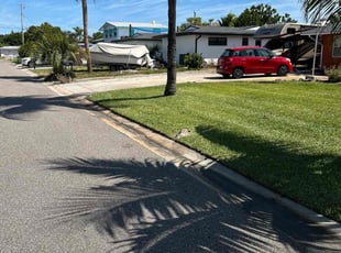 Linda H.'s turf maintenance service result