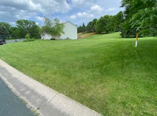 Deborah W.'s grass maintenance service result