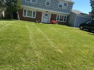 Lna L.'s lawn care service result