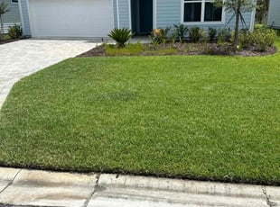 Mai D.'s grass cutting service result