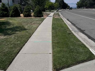 Darlene J.'s lawn care services service result