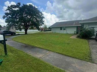 Susan L.'s grass maintenance service result