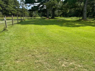 Catherine P.'s turf care service result