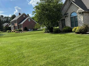 Sheena P.'s grass cutting service result