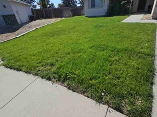 Julie R.'s lawn service service result