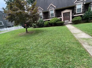 Sharon C.'s turf care service result