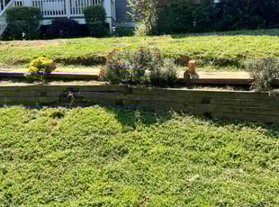 Georgina R.'s Flower Bed Weeding service result