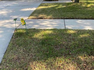 Colleen B.'s Bush Trimming service result
