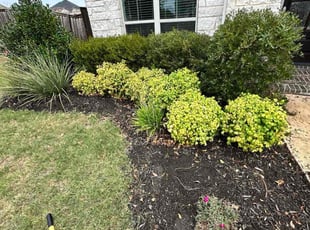 Katherine D.'s Flower Bed Weeding service result