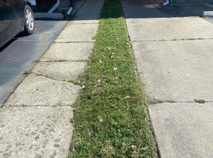 Cynthia K.'s grass cutting service result