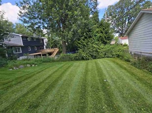 Amber M.'s turf care service result