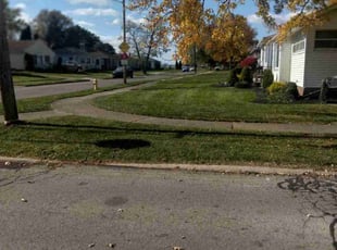 Ernest S.'s grass cutting service result