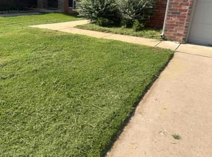 Doug p.'s turf maintenance service result