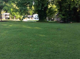 Edgar V.'s turf care service result