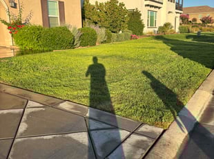 Lamar C.'s lawn care services service result
