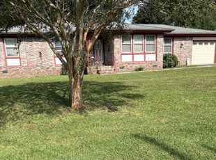 Mary D.'s grass maintenance service result