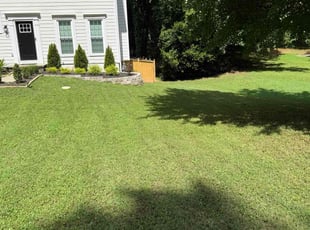 Jessica S.'s yard work service result