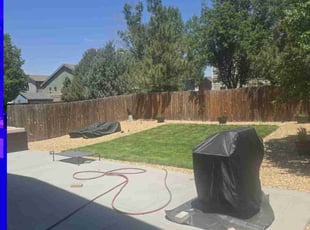 Roger P.'s grass maintenance service result
