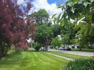 Kristy P.'s Long Grass Cleanup service result