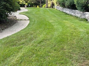 Philip H.'s grass cutting service result