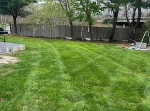 Robin D.'s lawn service service result