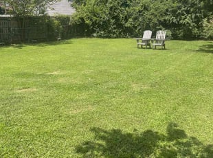 Adrienne L.'s lawn service service result