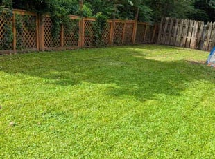 Daytron P.'s lawn care services service result