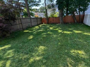 DB W.'s grass cutting service result
