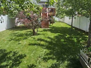 Angela M.'s lawn care service result