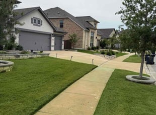 Camille M.'s yard work service result