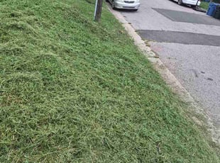 Parin A.'s Long Grass Cleanup service result