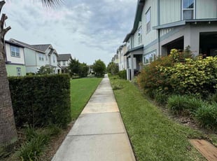 Alexis B.'s lawn care services service result