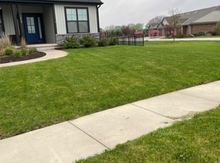 Michael M.'s turf care service result