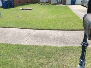 Katie F.'s grass maintenance service result